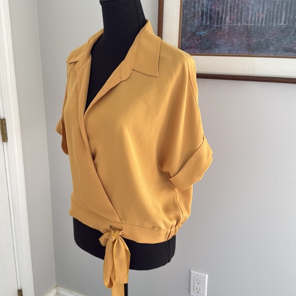 NWOT Aritzia Babaton Ozana Blouse - Size L - Picture 4 of 9